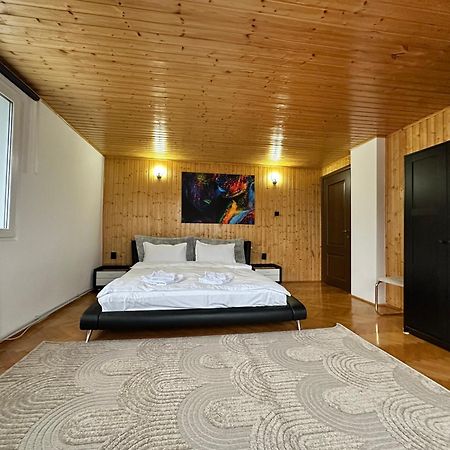 莫伊西德约斯Prater House Mountain View别墅 外观 照片