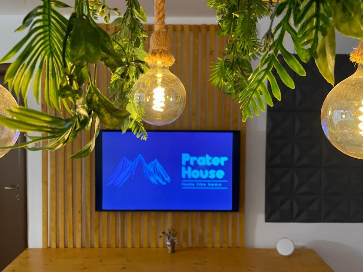 莫伊西德约斯Prater House Mountain View别墅 外观 照片