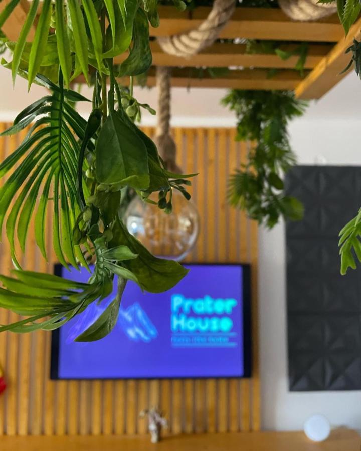 莫伊西德约斯Prater House Mountain View别墅 外观 照片