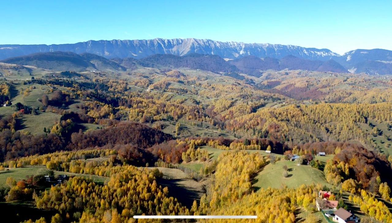 莫伊西德约斯Prater House Mountain View别墅 外观 照片