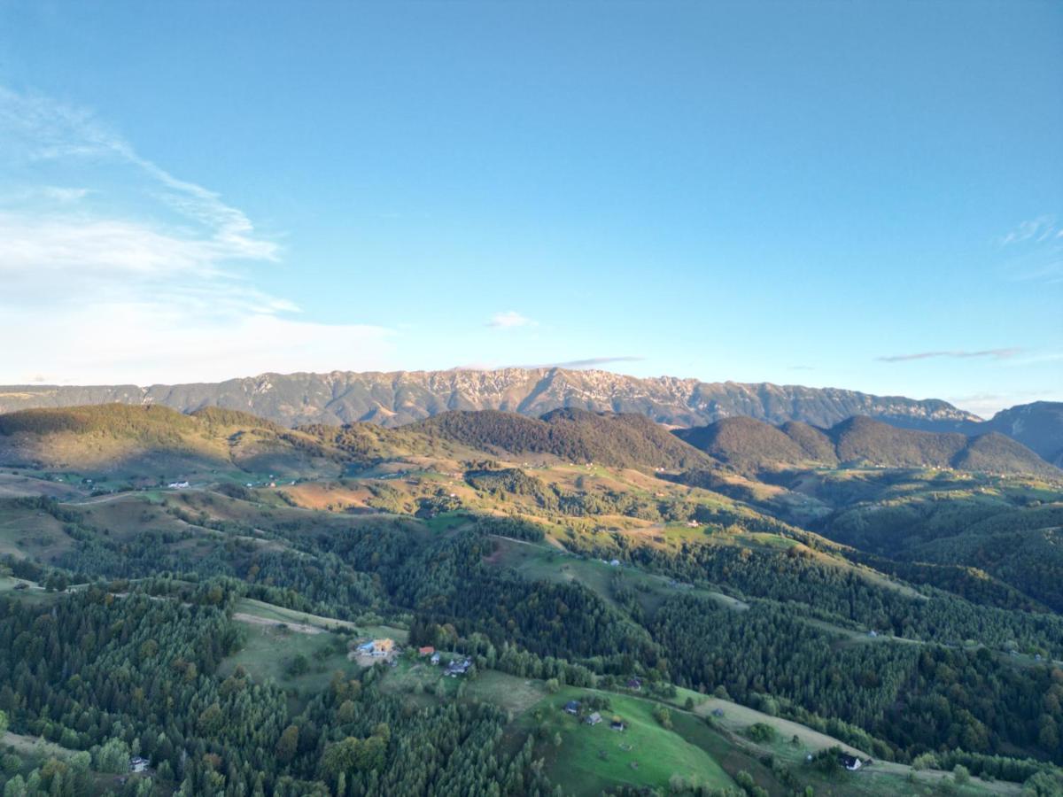 莫伊西德约斯Prater House Mountain View别墅 外观 照片
