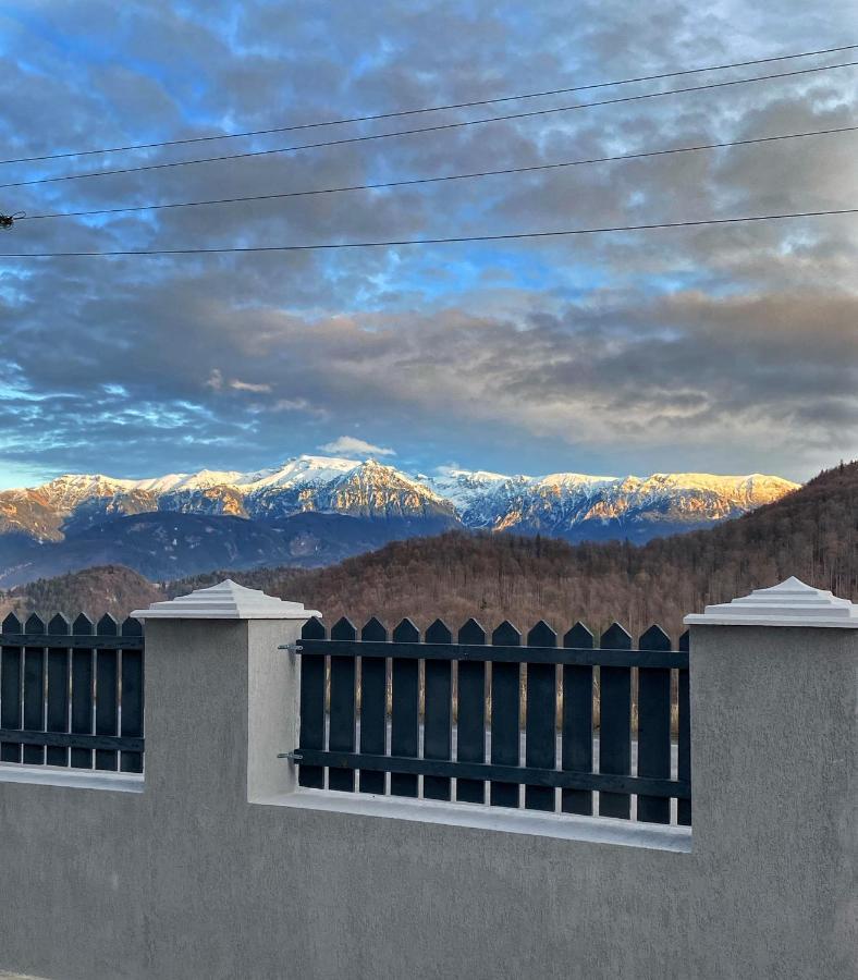 莫伊西德约斯Prater House Mountain View别墅 外观 照片