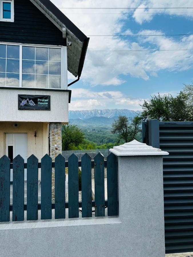 莫伊西德约斯Prater House Mountain View别墅 外观 照片