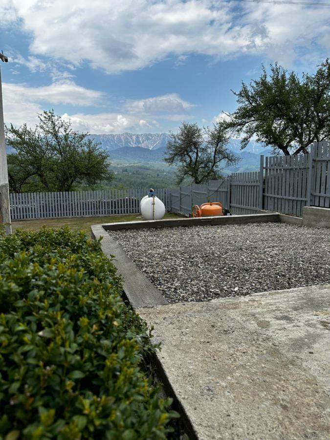 莫伊西德约斯Prater House Mountain View别墅 外观 照片