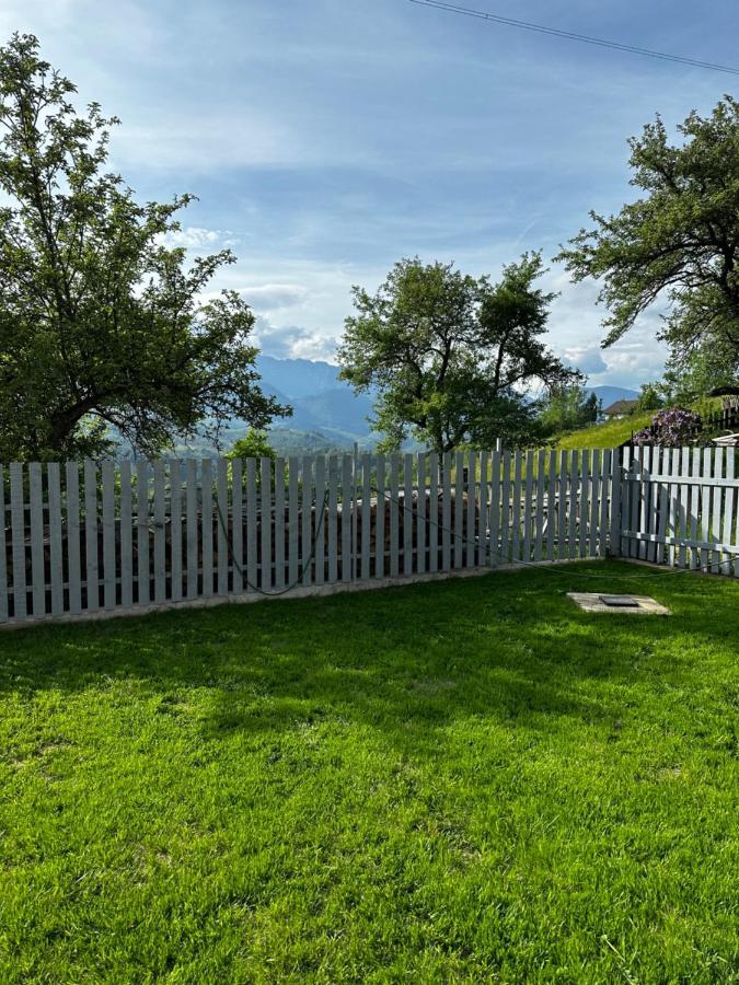 莫伊西德约斯Prater House Mountain View别墅 外观 照片