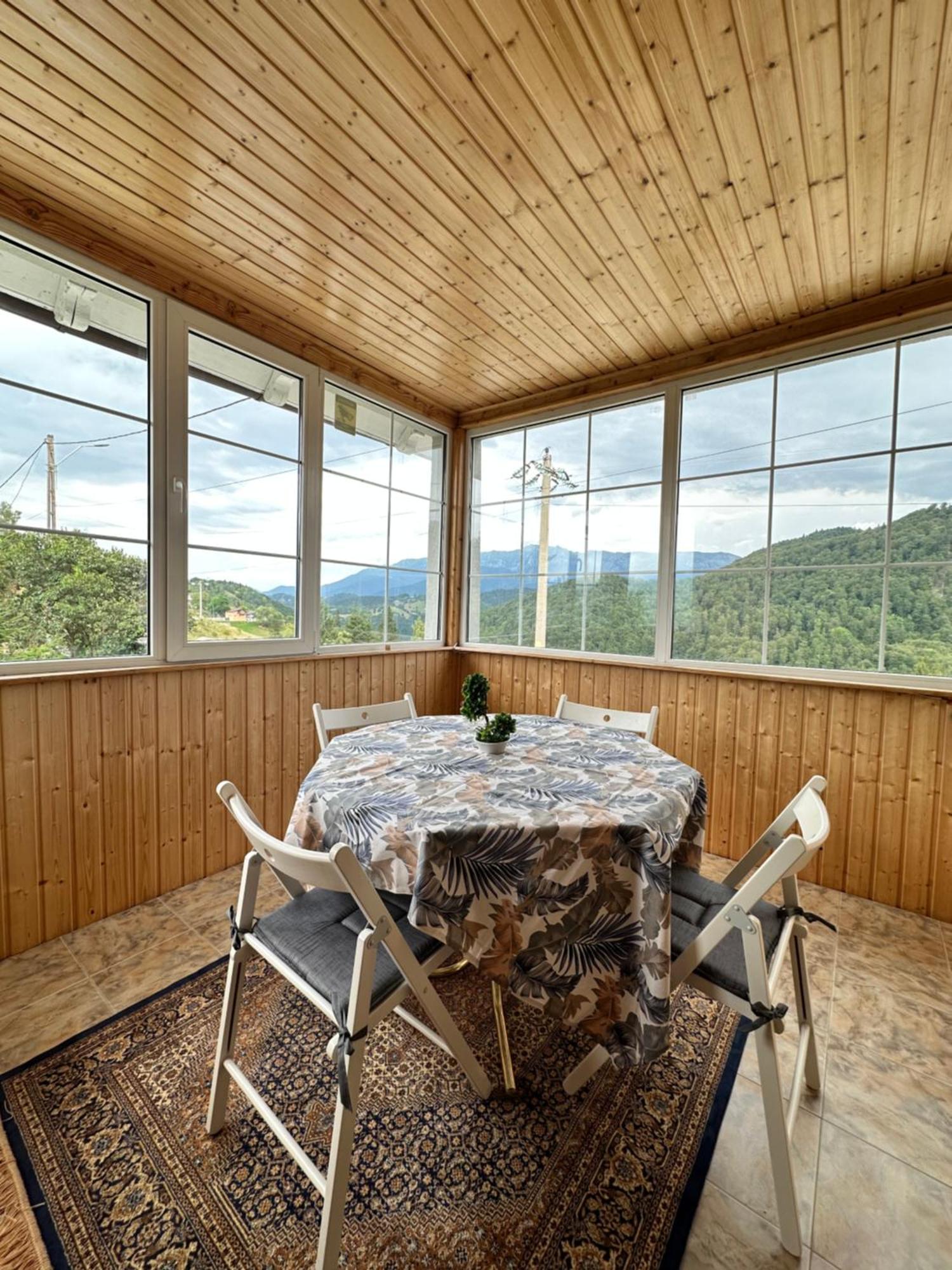 莫伊西德约斯Prater House Mountain View别墅 外观 照片